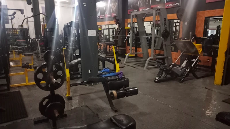 Power Gym Maxuxac II