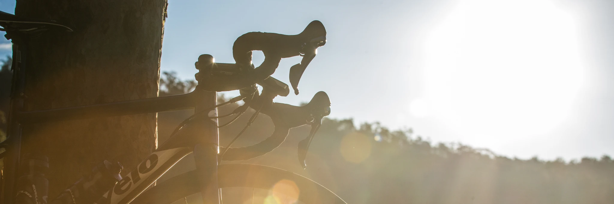 Scenic Cycle Sydney CBD