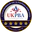 Delta Force Paintball Southampton logo