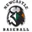 Newcastle Baseball Association logo