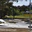 Albury Skate Park logo