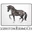 Haggerston Castle Riding Centre logo