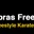 Huddersfield Cobras Freestyle Karate Club logo