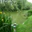 Butlers Hill Fishery logo