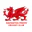 Davington Priory Cricket Club logo