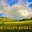 Numinbah Valley Bush Camping logo