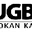 Nailsea Karate logo