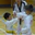 The Mark Farnham Schools of Tae Kwon-Do logo