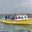 Whitby Coastal Fishing logo