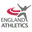 Whittington Park Football Pitch logo