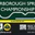Curborough Sprint Course logo