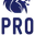 Pro Eleven Football Academy logo