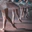 Dancebuzz Ballroom Dancing Classes logo