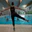 Aquatic Rehabilitation & Exercise Academy logo