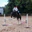 Wapley Riding Stables logo