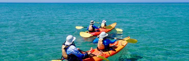 Turtle Tour Half Day Sea Kayak & Snorkel Tour