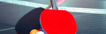 Stage de tennis de table amateur au Vigneau