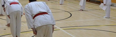 Karate for Teens and Adults