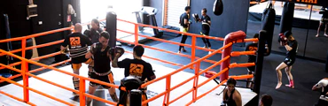 The Ring Gym