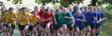 District Athletics Final