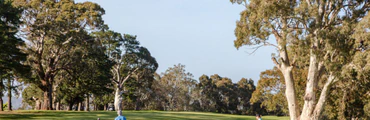 Junior Golf
