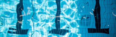 Free Swimming