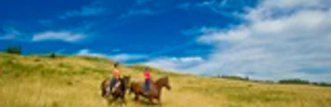 Cree Lake Lodge 7-Day Self-Guided Wall Tent Excursion