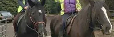 Children's Riding Lessons