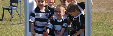 Minis Collaroy Cougars