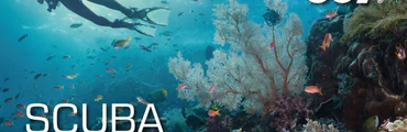 SSI Scuba Diver Certification