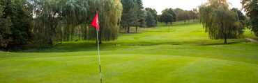 Senior Men's Open (Over 55) Afternoon AM-AM Stroke Play