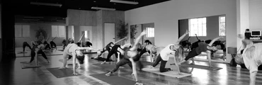 Ancestral Voices Forrest Yoga Workshop series