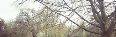 Yoga in Finsbury Park