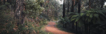 YACKANDANDAH TO BEECHWORTH 64kms Return