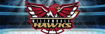 Willowdale Hockey House League Activities