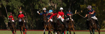 La Dolfina Cup