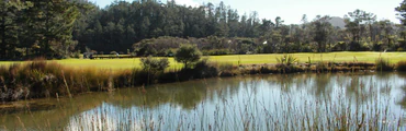 Tairua Golf Course