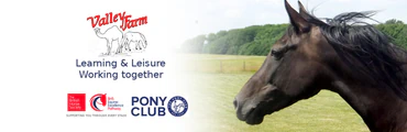 Residential Pony Camps