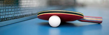 Stage de Tennis de Table au Vigneau