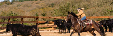 Western Experience Days