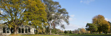 Ladies League Golf Tournament