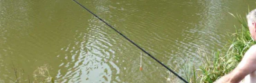 Butlers Hill Fishery