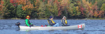 Algonquin Park 3h Guided VIP Electric Canoe Day Trip Photography Tour