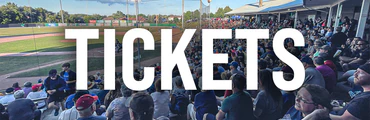 Junior Jackfish Baseball Camp