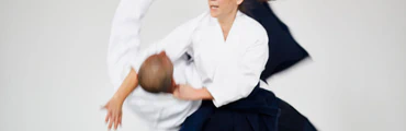 Aikido Weapons Classes in Assiniboine Park