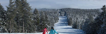 Cours de ski alpin pour tous niveaux