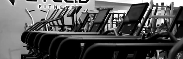 Steed Fitness