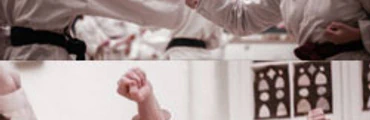 Kata & Kumite training
