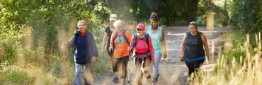 Health Walk Willenhall Memorial Park