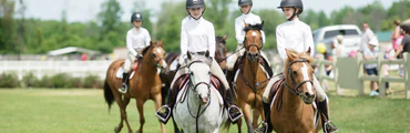 Horseback Riding Summer Day Camps